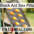 Black Ant Sex Pills cialis1